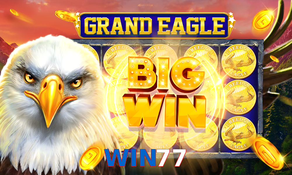 WIN77